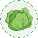 为球迷提供权威赛事信息 - 世界杯投注