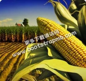 权威信息，全程守护 - 世界杯投注